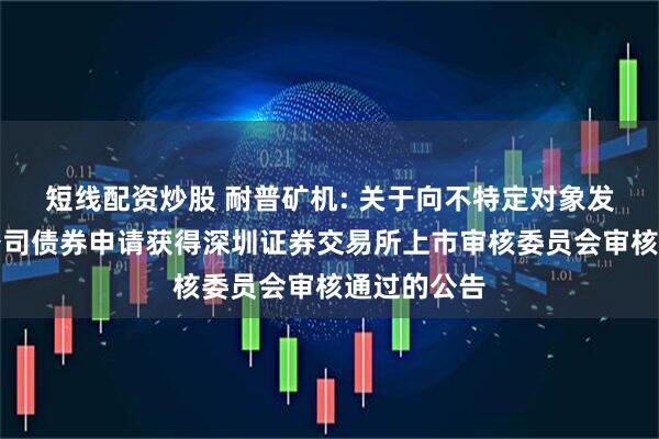 短线配资炒股 耐普矿机: 关于向不特定对象发行可转换公司债券申请获得深圳证券交易所上市审核委员会审核通过的公告